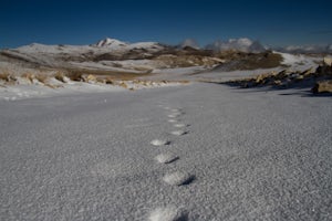 Climb White Mountain Peak