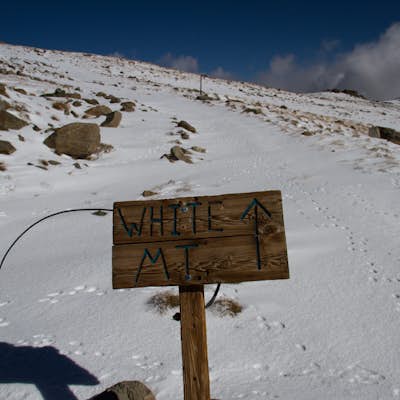 Climb White Mountain Peak