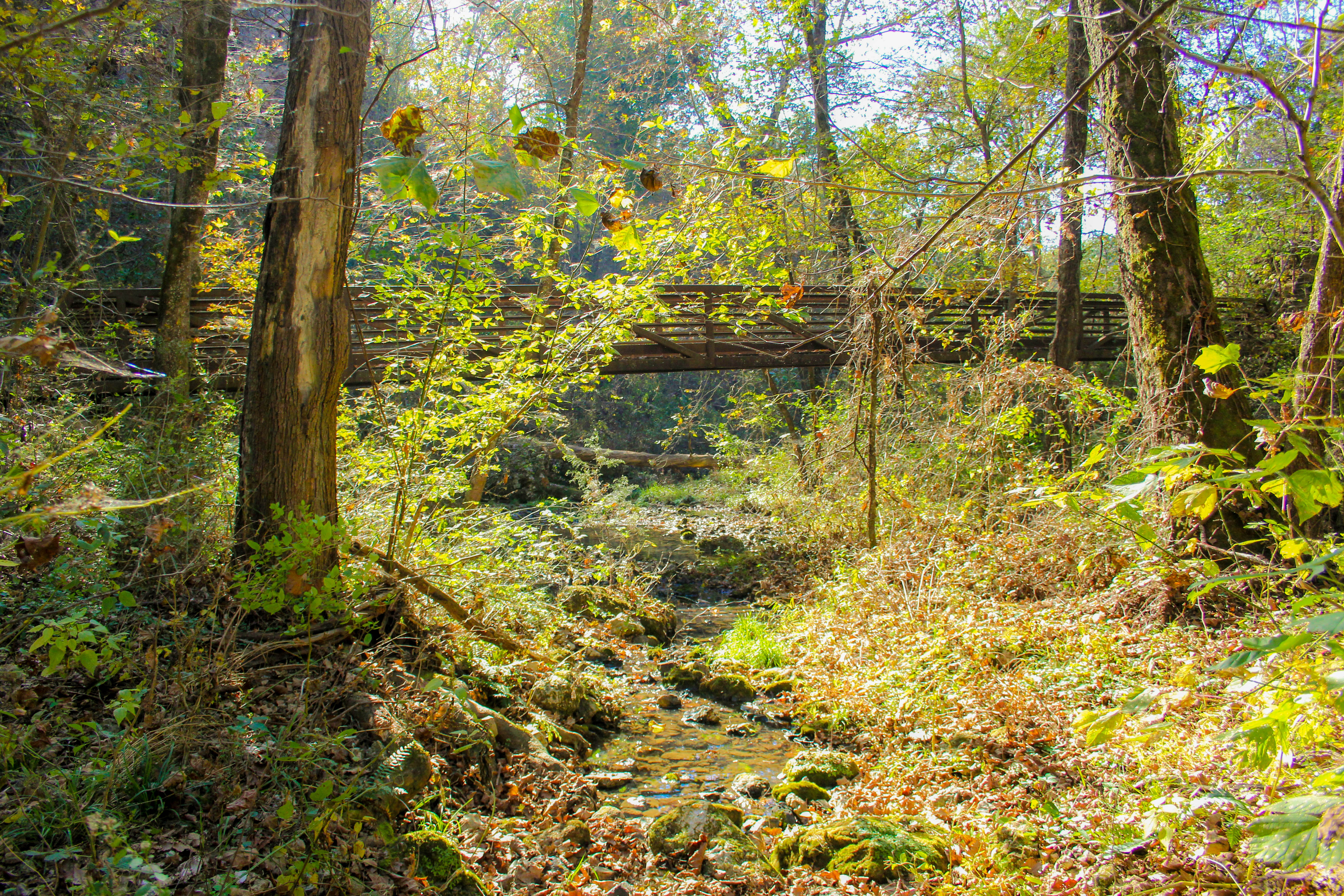 Relax at Natural Falls