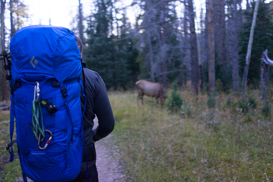 Hike to Timber Lake