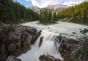 Explore Sunwapta Falls