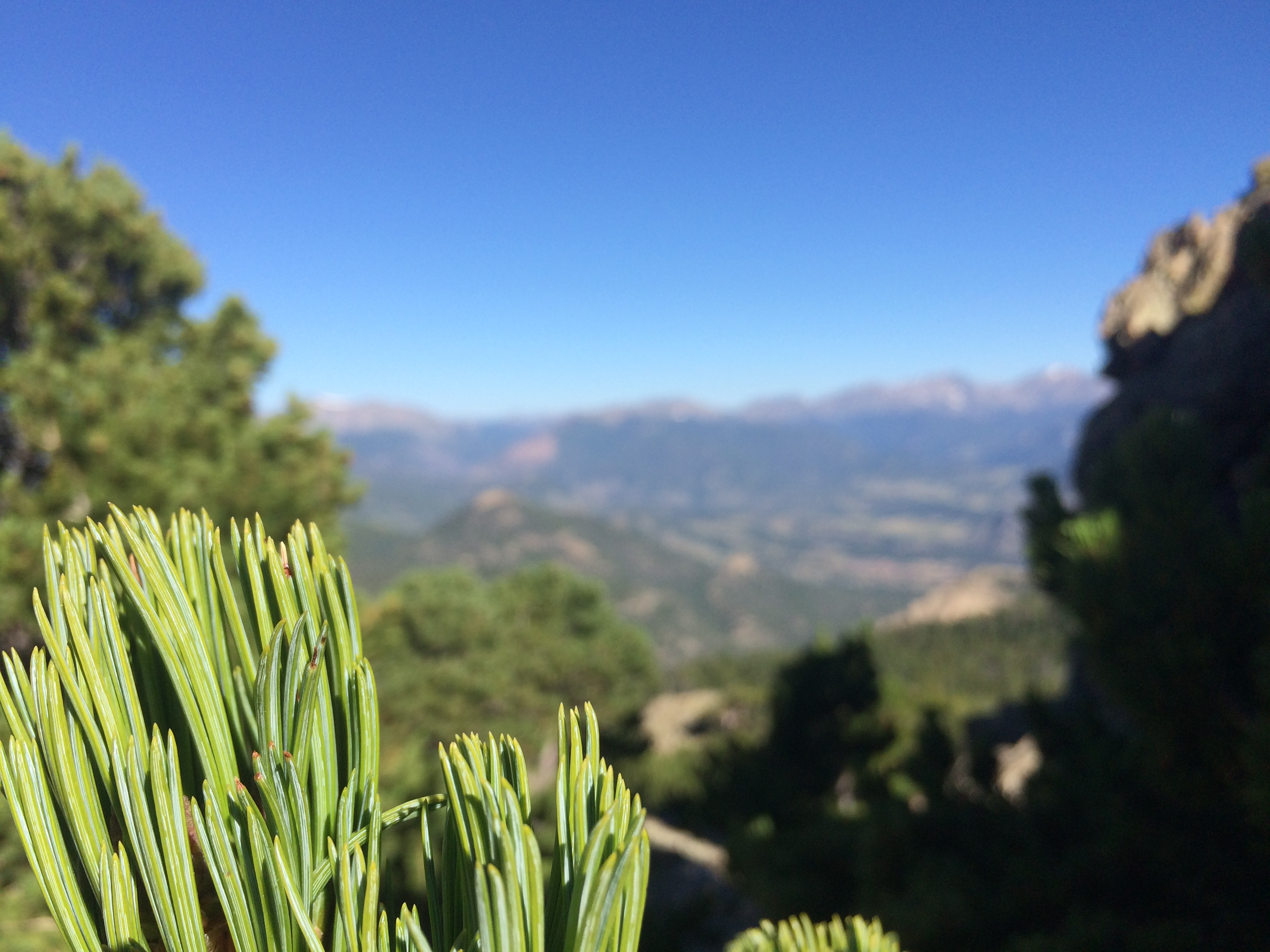 Twin Sisters Peak