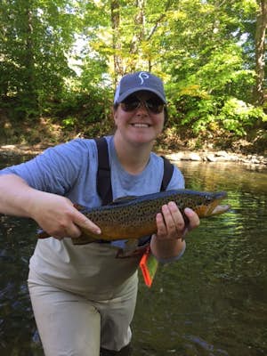 Fly Fish The South Branch with Shannon's Fly & Tackle