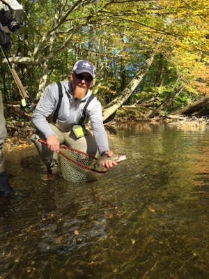 Fly Fish The South Branch with Shannon's Fly & Tackle