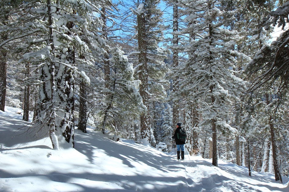 Snowshoe on the Winsor Trail, Winsor Trail, Santa Fe Ski Basin