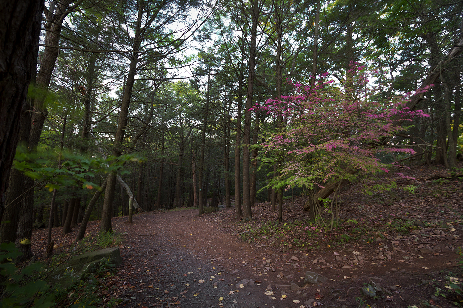 Hike to the Heublein Tower on Talcott Mountain
