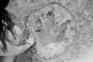 Explore Dinosaur Tracks in Leander