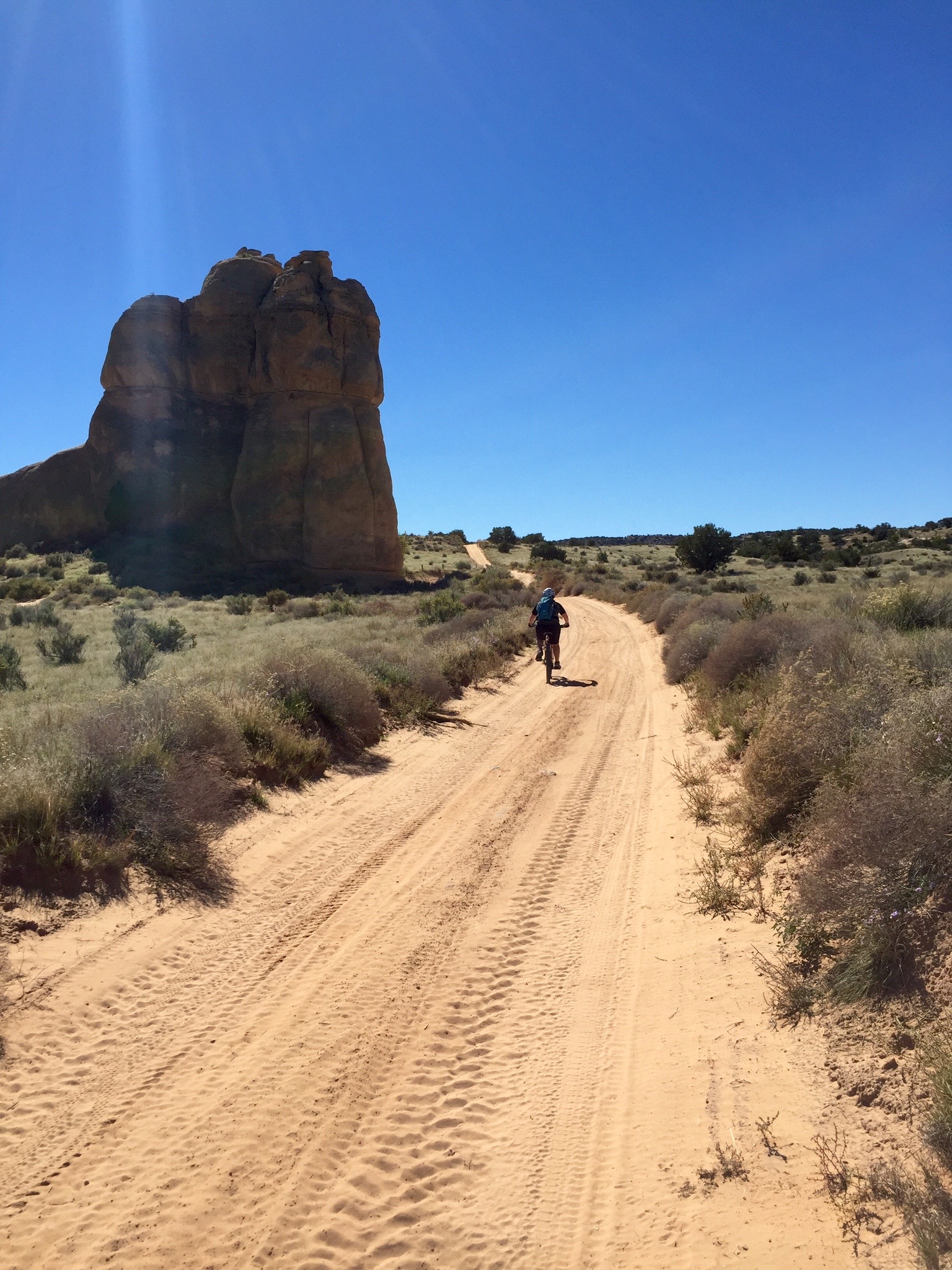 Mountain Bike in the Rabbit Valley Area