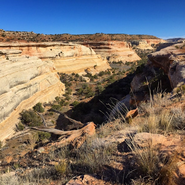 Mountain Bike in the Rabbit Valley Area, Mack, Colorado