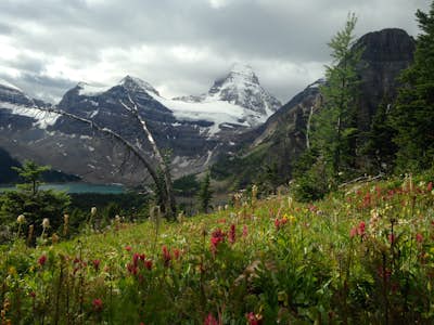 Hike from Sunshine Village to Assiniboine to Mt. Shark 