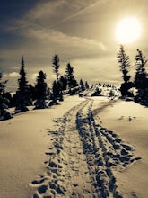 Ski or Snowshoe to Stargaze Yurt