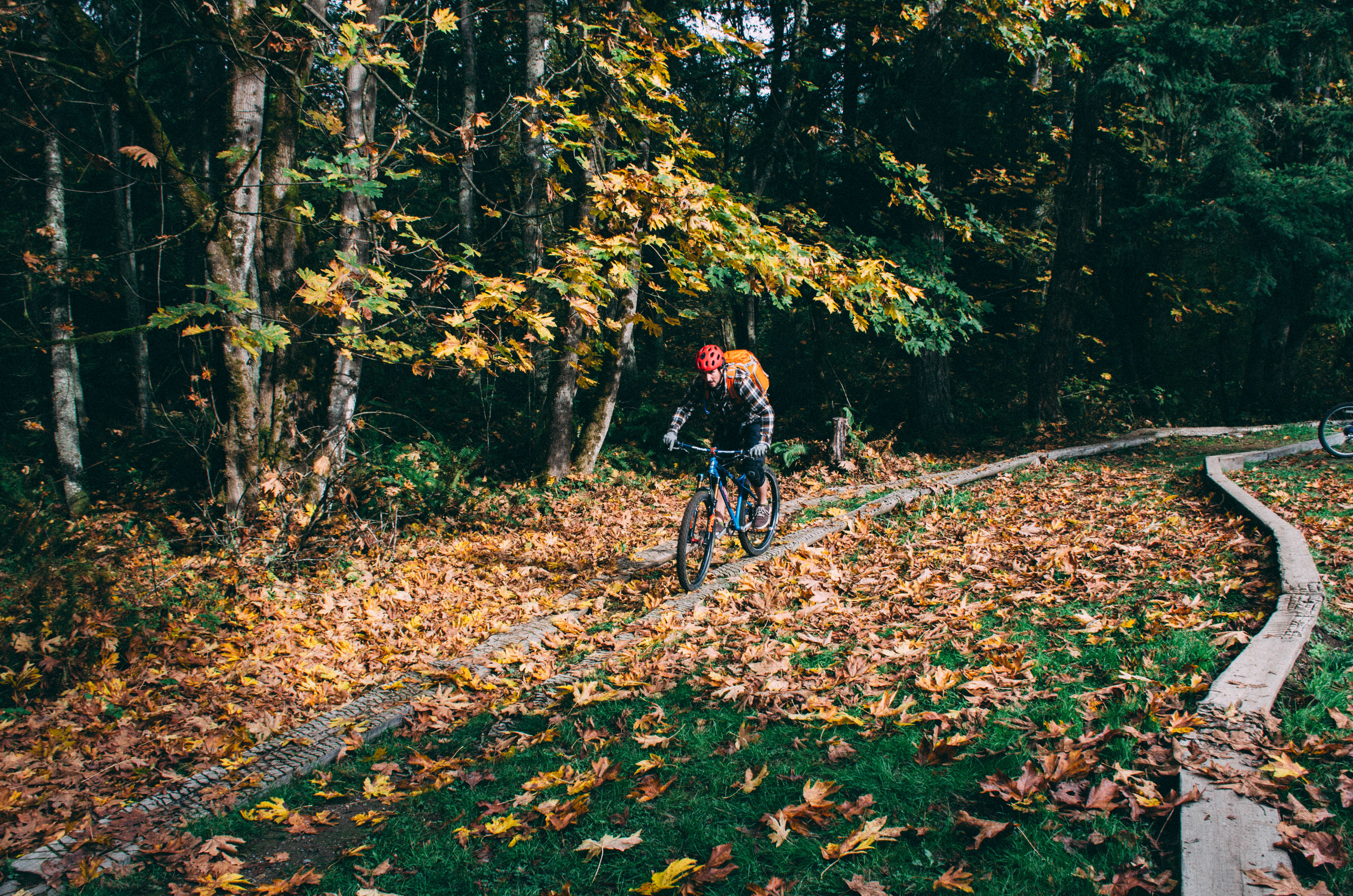 Duthie Hill Mountain Bike Park Loop