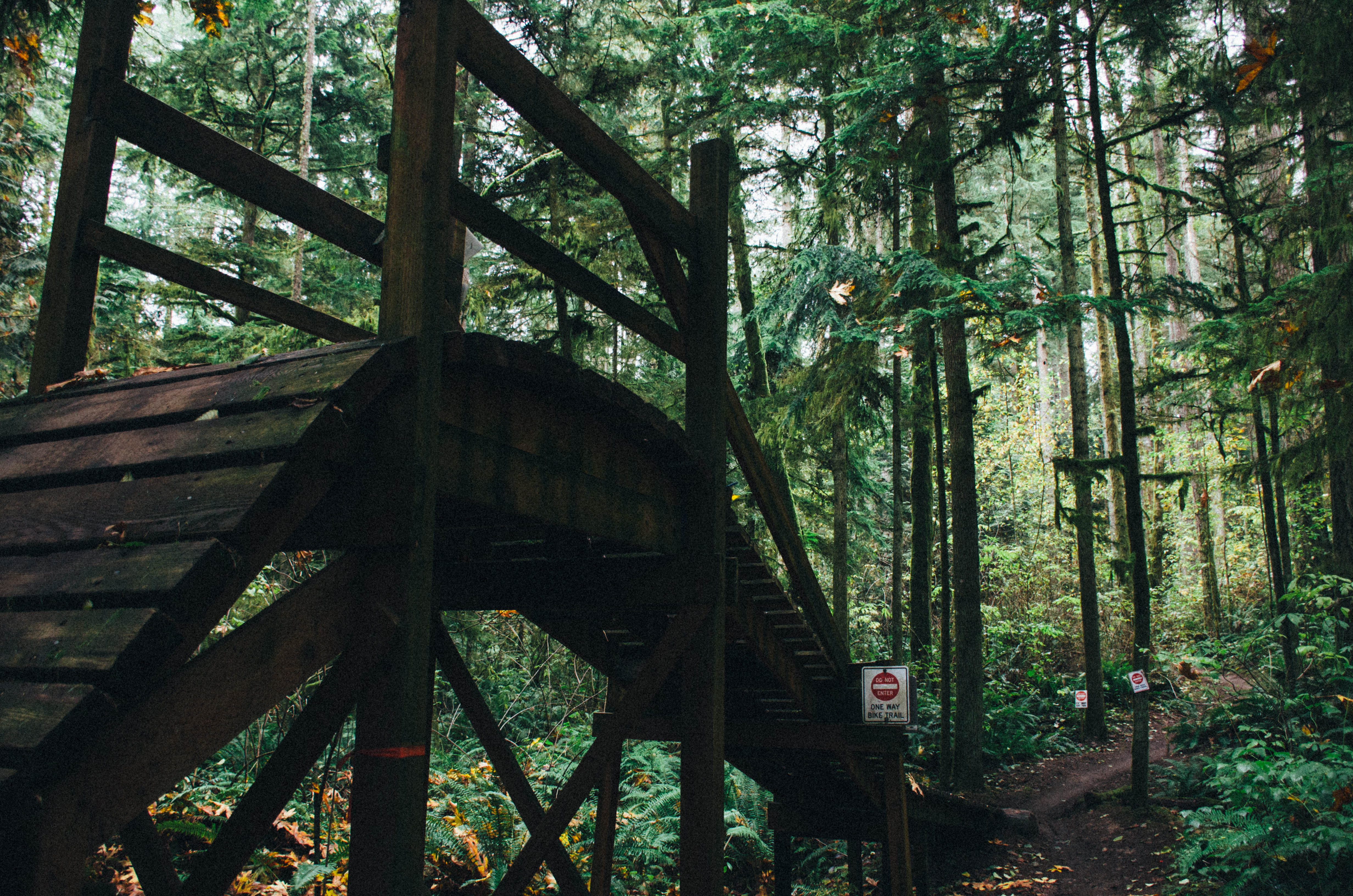 Duthie Hill Mountain Bike Park Loop