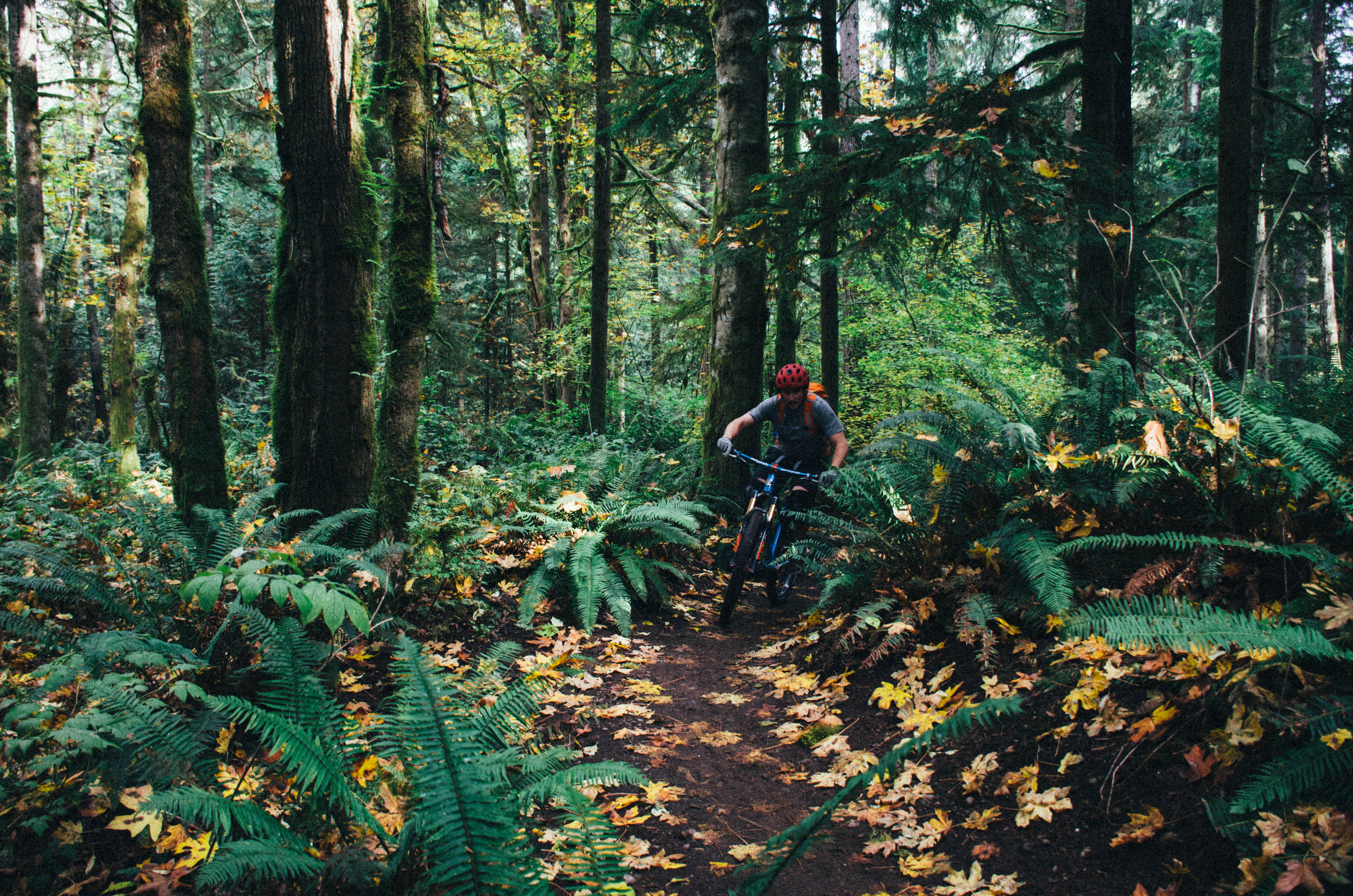 Duthie Hill Mountain Bike Park Loop