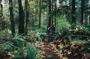 Mountain Bike Duthie Hill