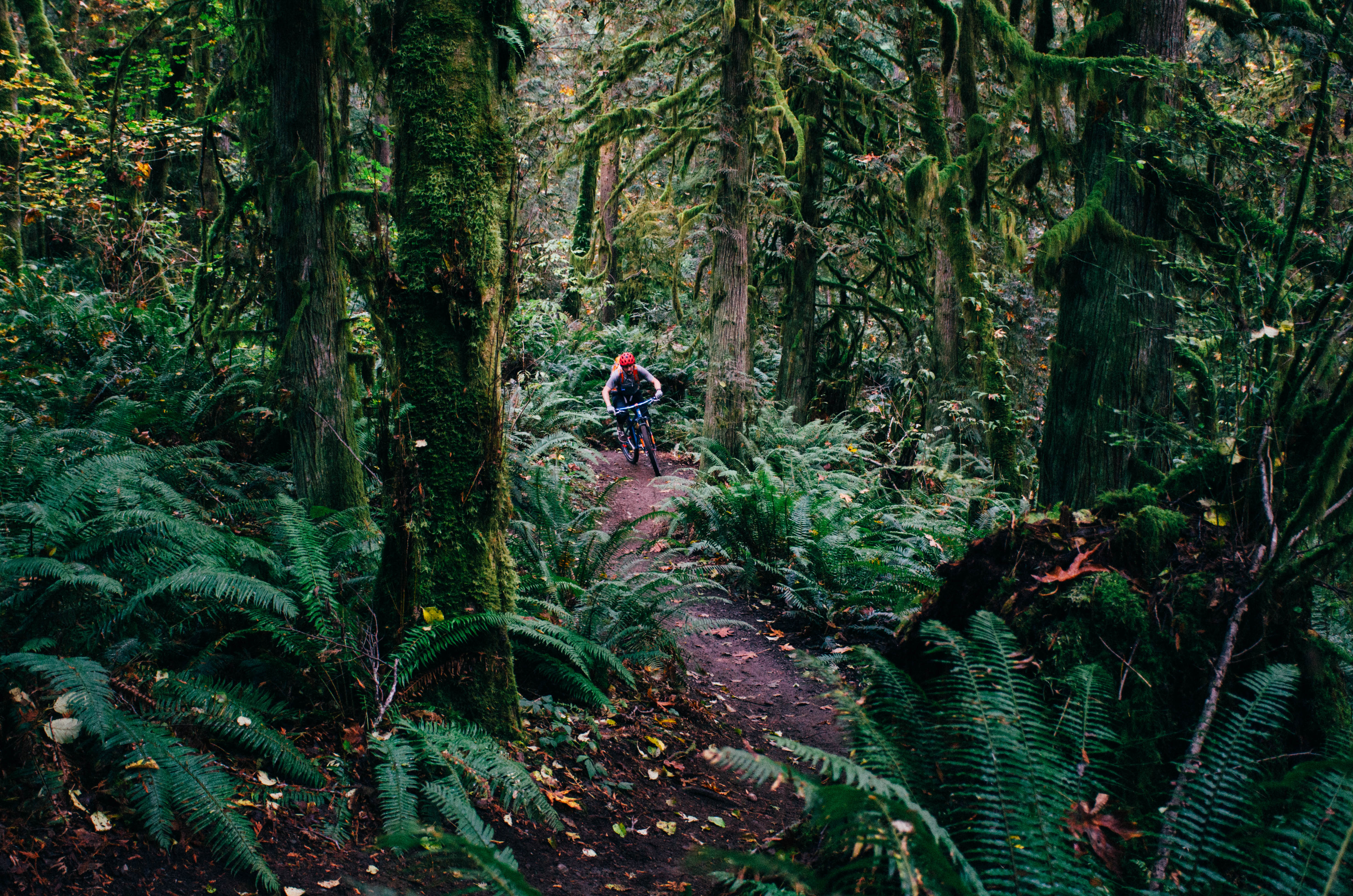 Duthie Hill Mountain Bike Park Loop