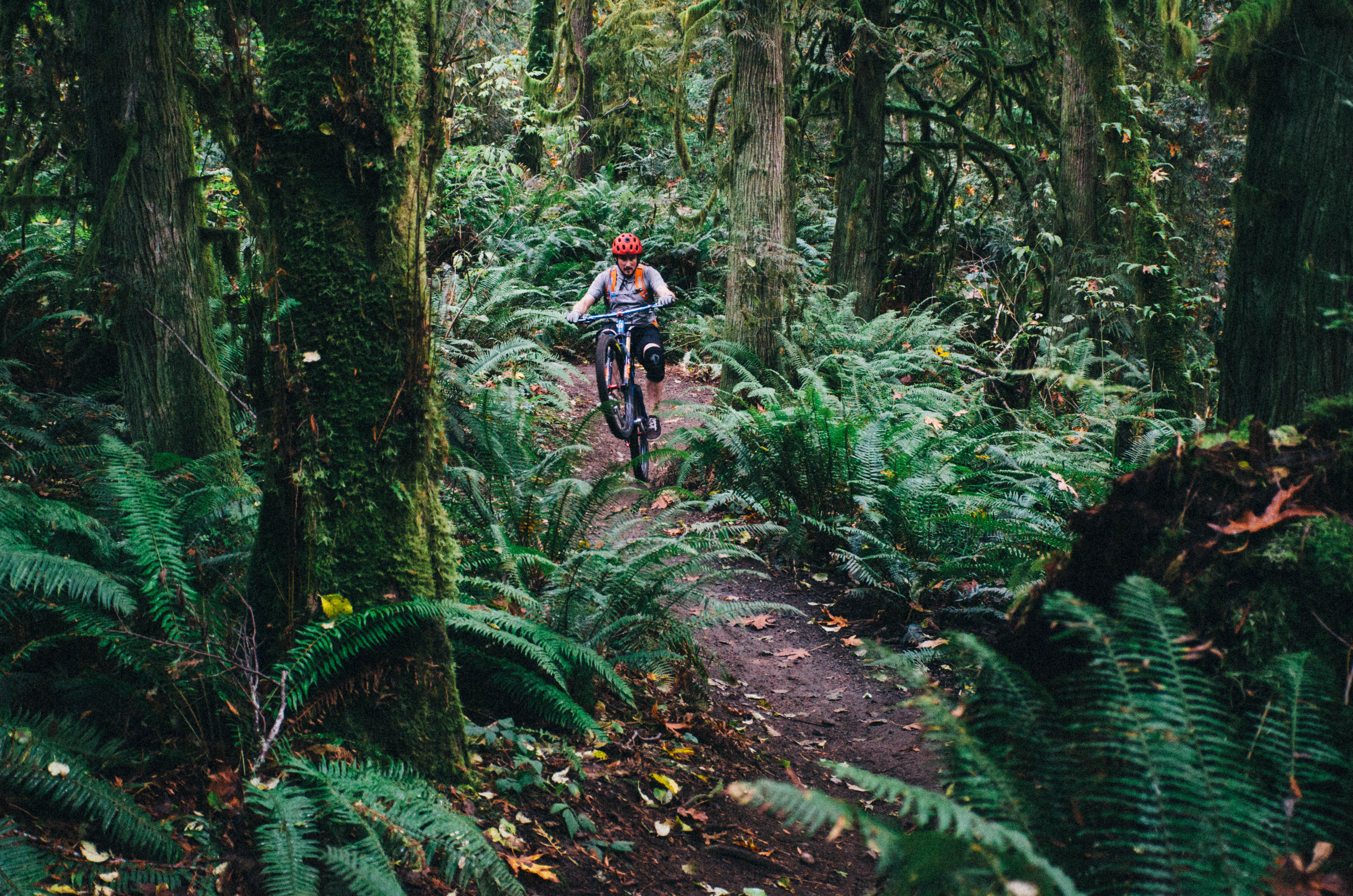 Duthie Hill Mountain Bike Park Loop