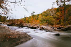 Sweetwater Creek White Loop 