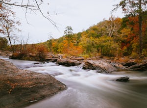 Hike the White Loop at Sweetwater Creek