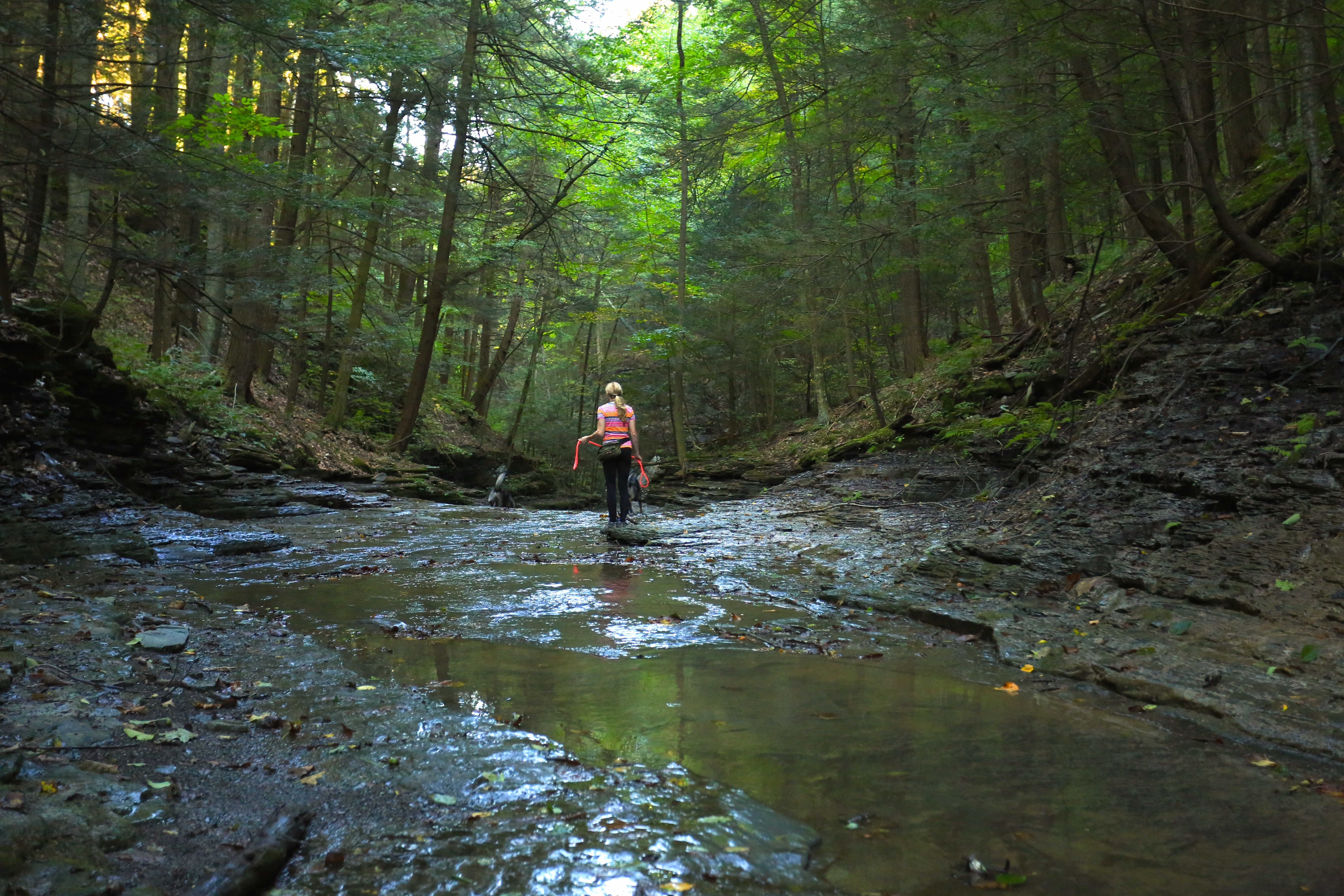 Hike Coy Glen