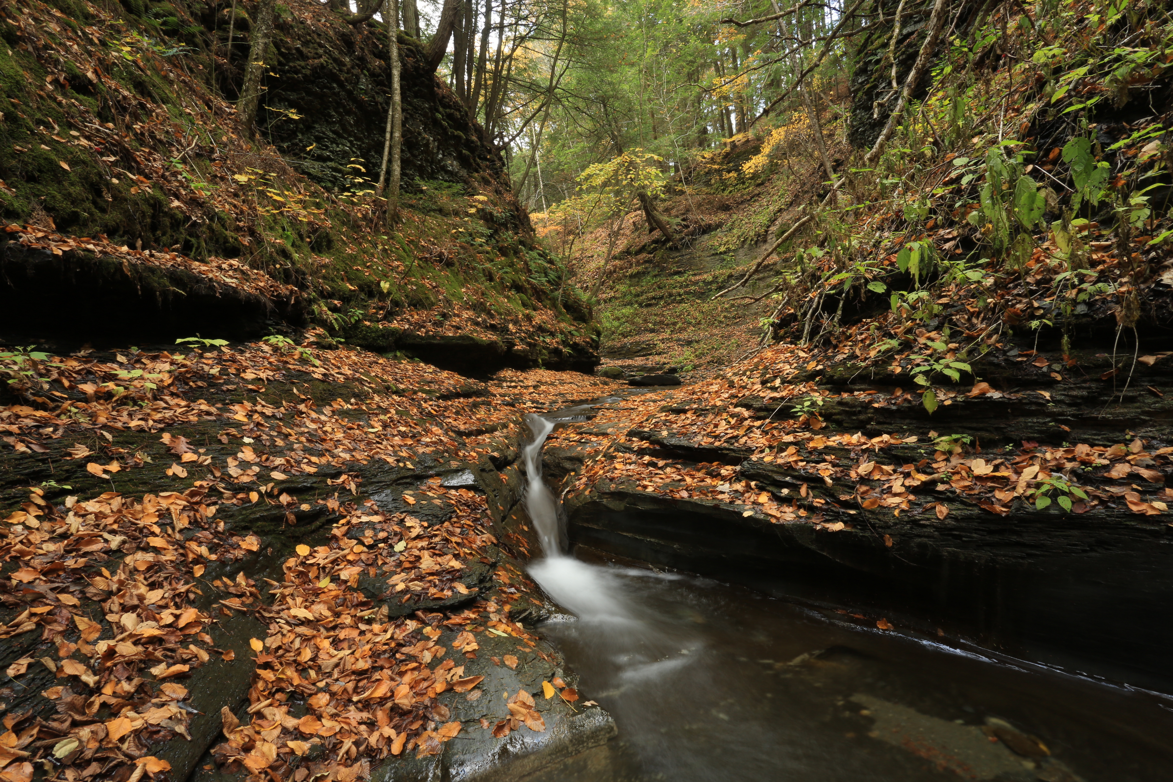 Hike Coy Glen