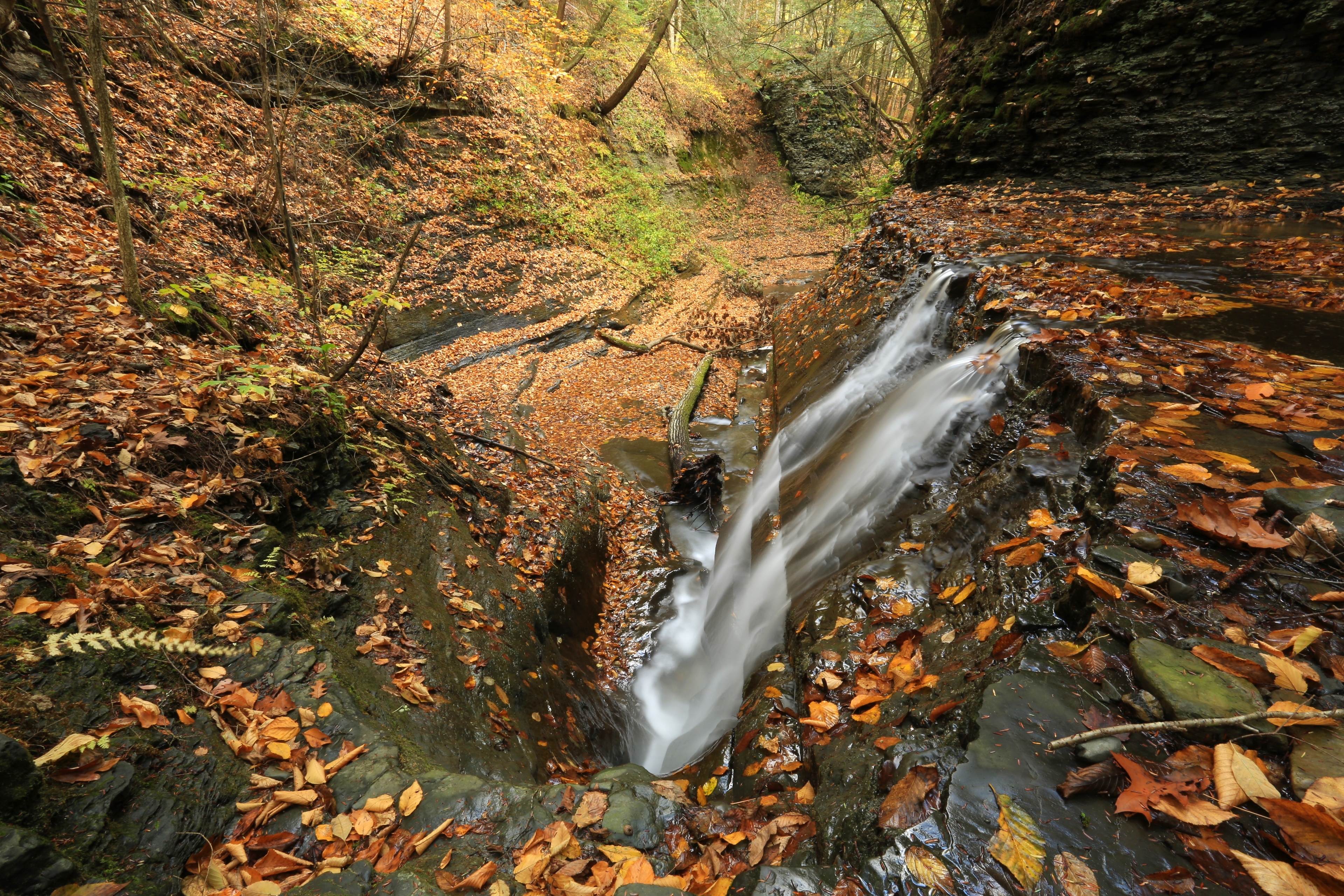 Hike Coy Glen