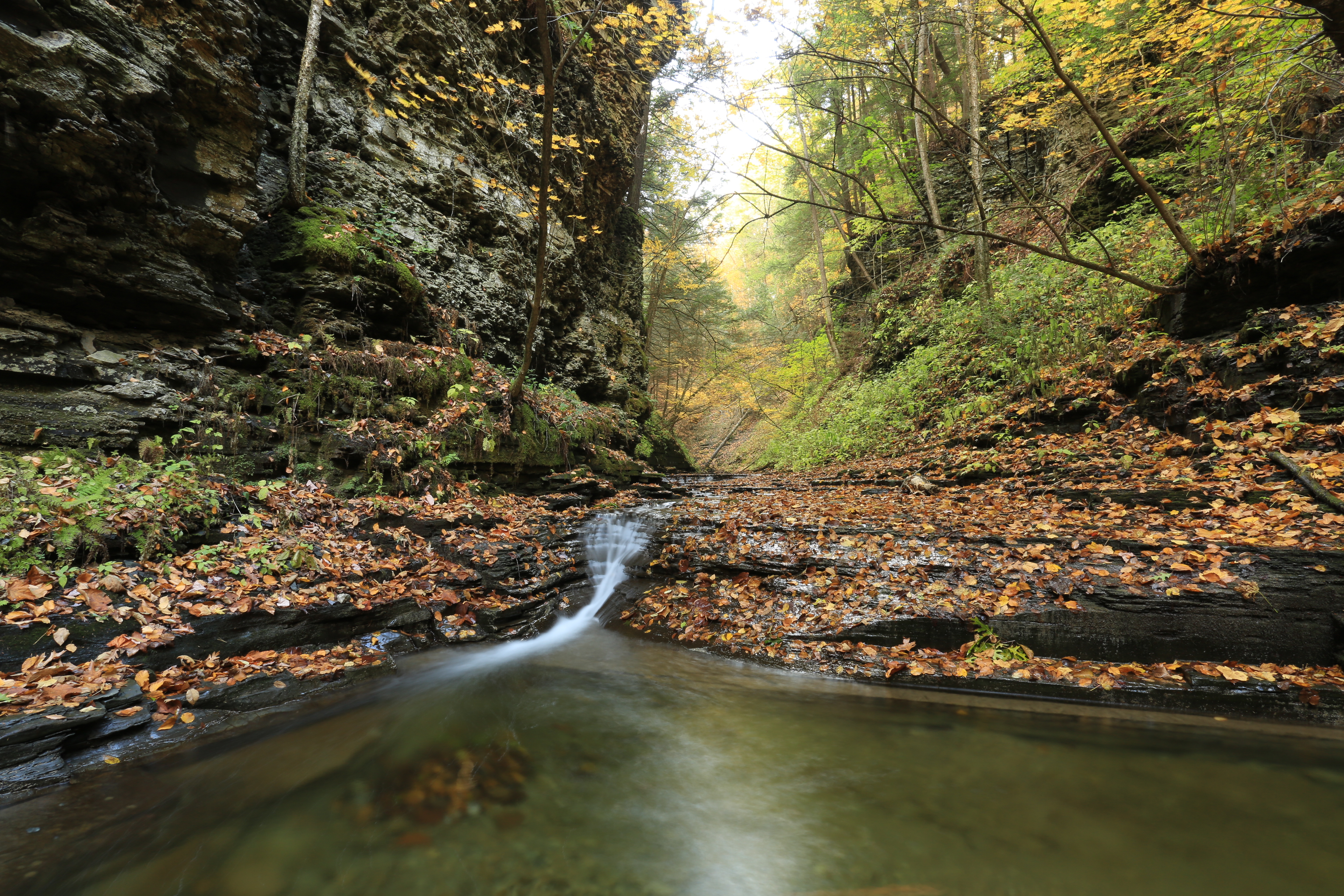 Hike Coy Glen