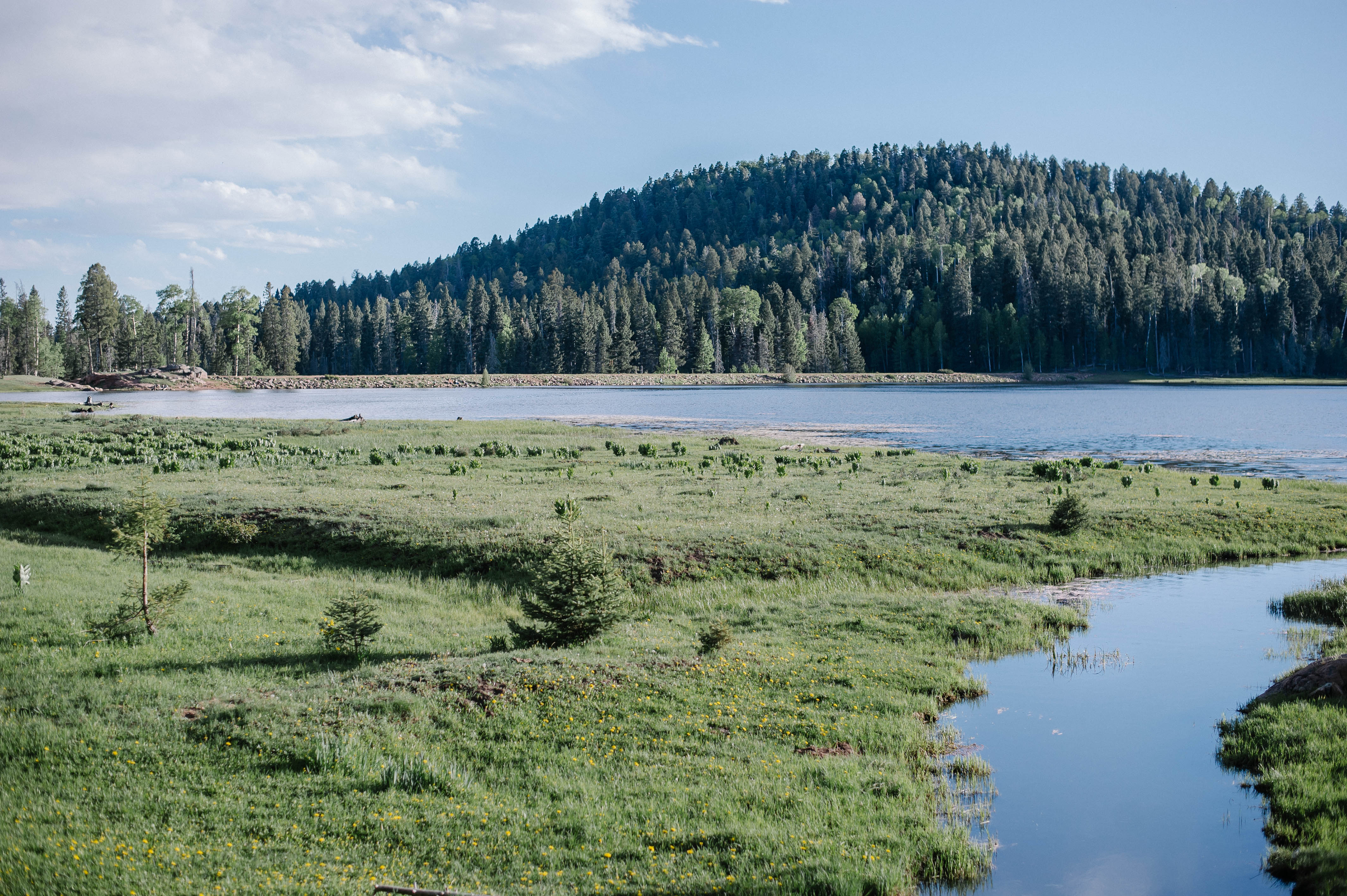 San Gregorio Reservoir