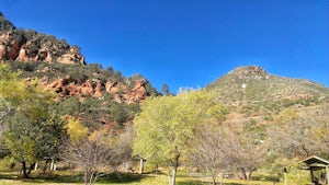First Bench of Wilson Mountain