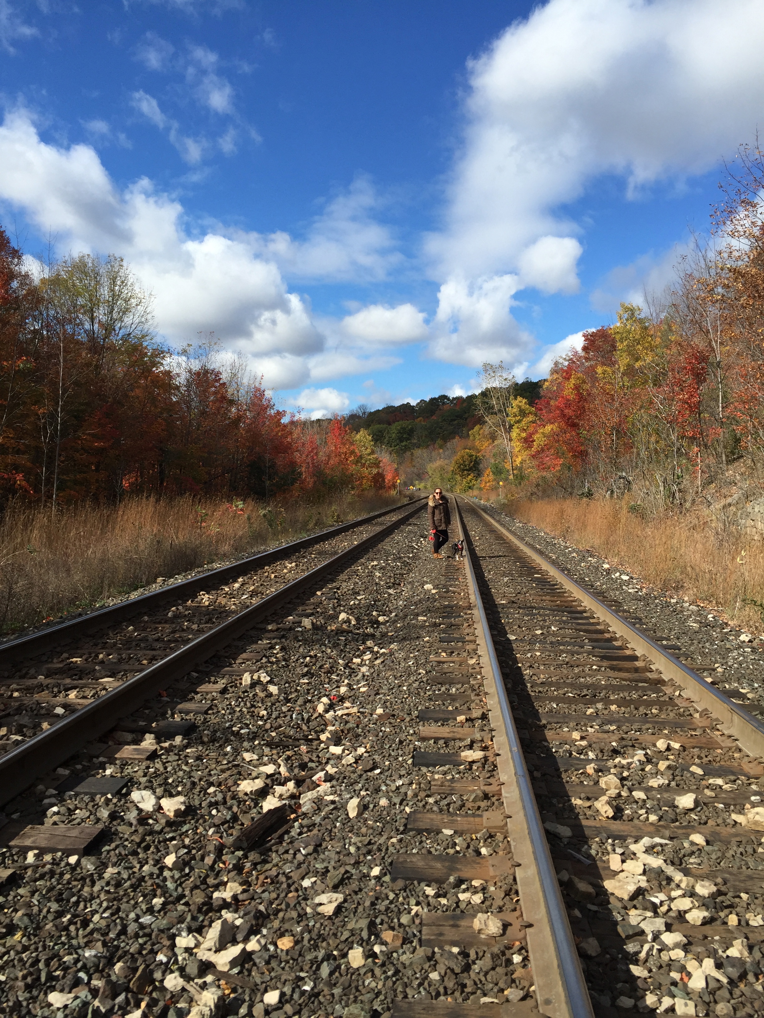 Hike the Dundas Escarpment 