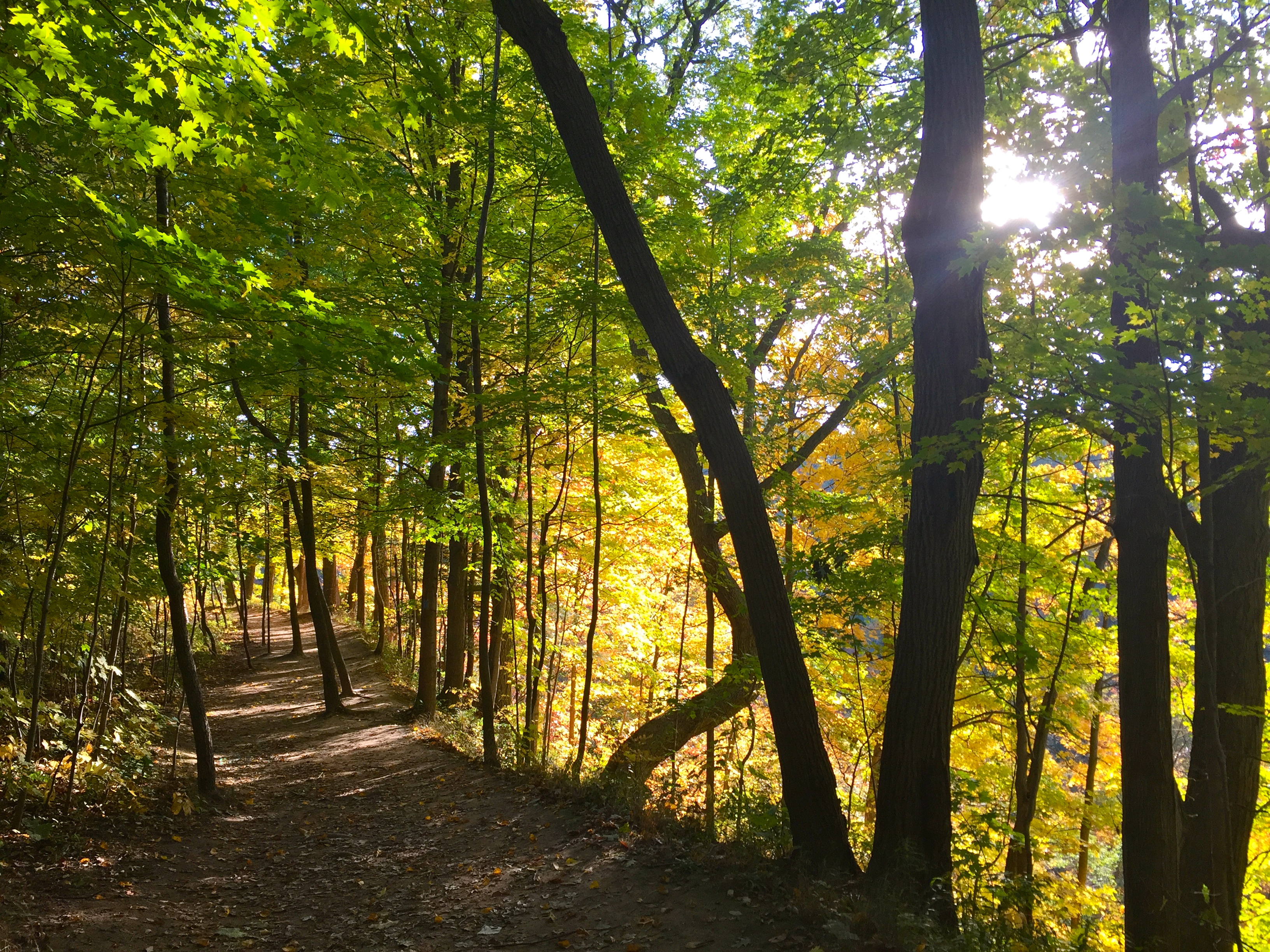 Hike the Dundas Escarpment 