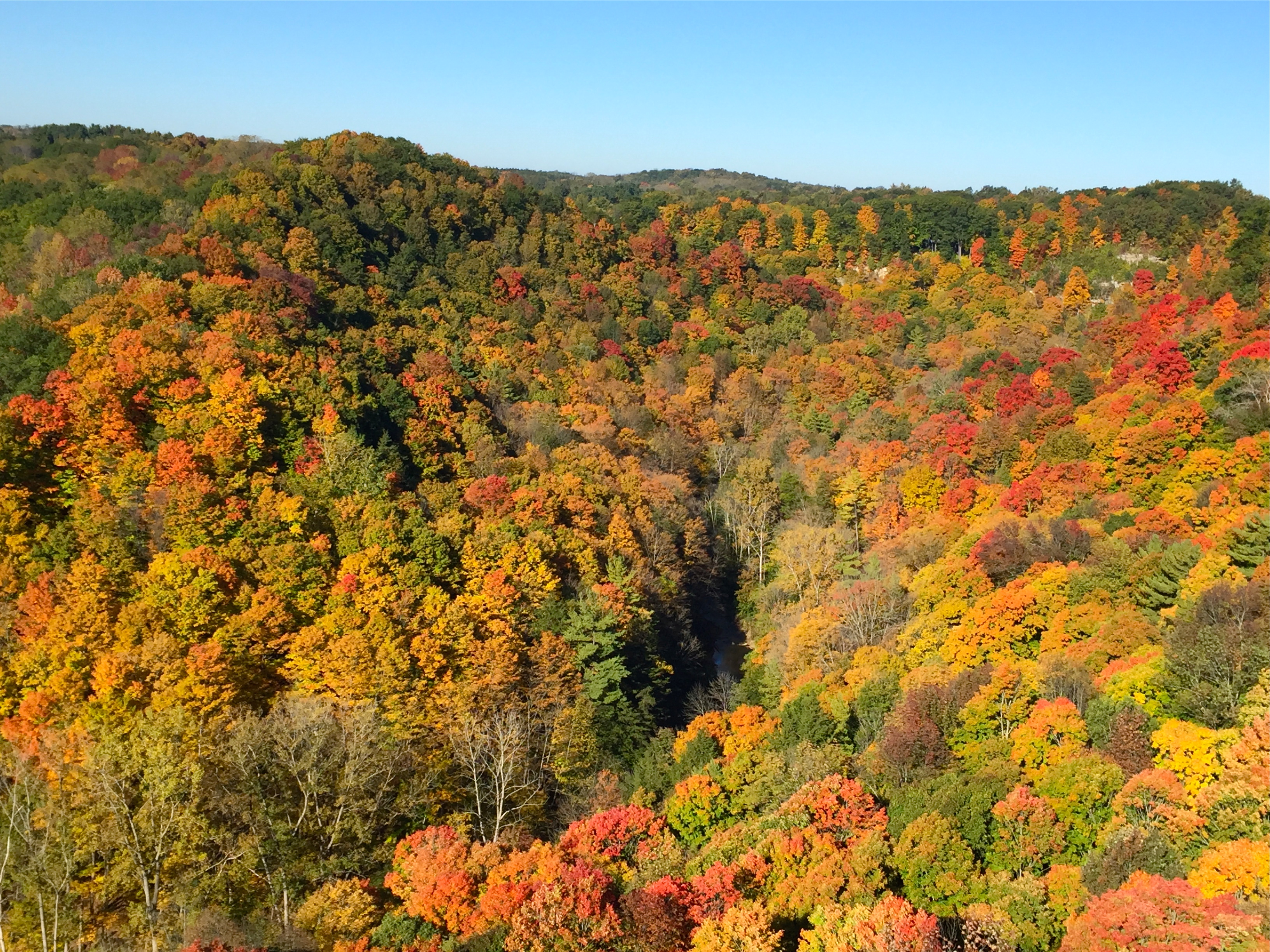 Hike the Dundas Escarpment 