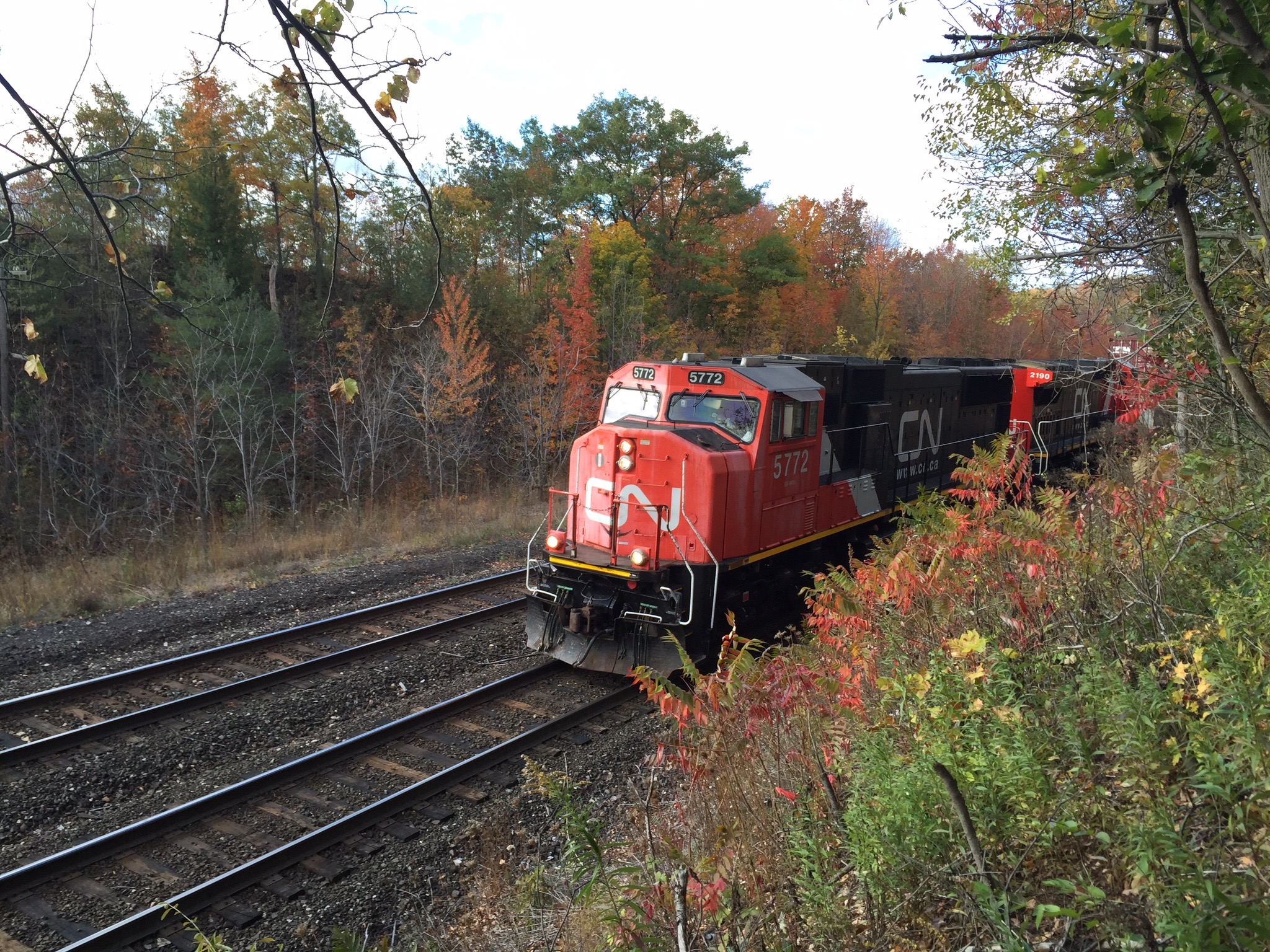 Hike the Dundas Escarpment 