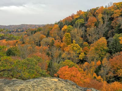 Hike the Gorge at Conkle's Hollow