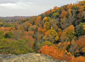 Hike the Gorge at Conkle's Hollow