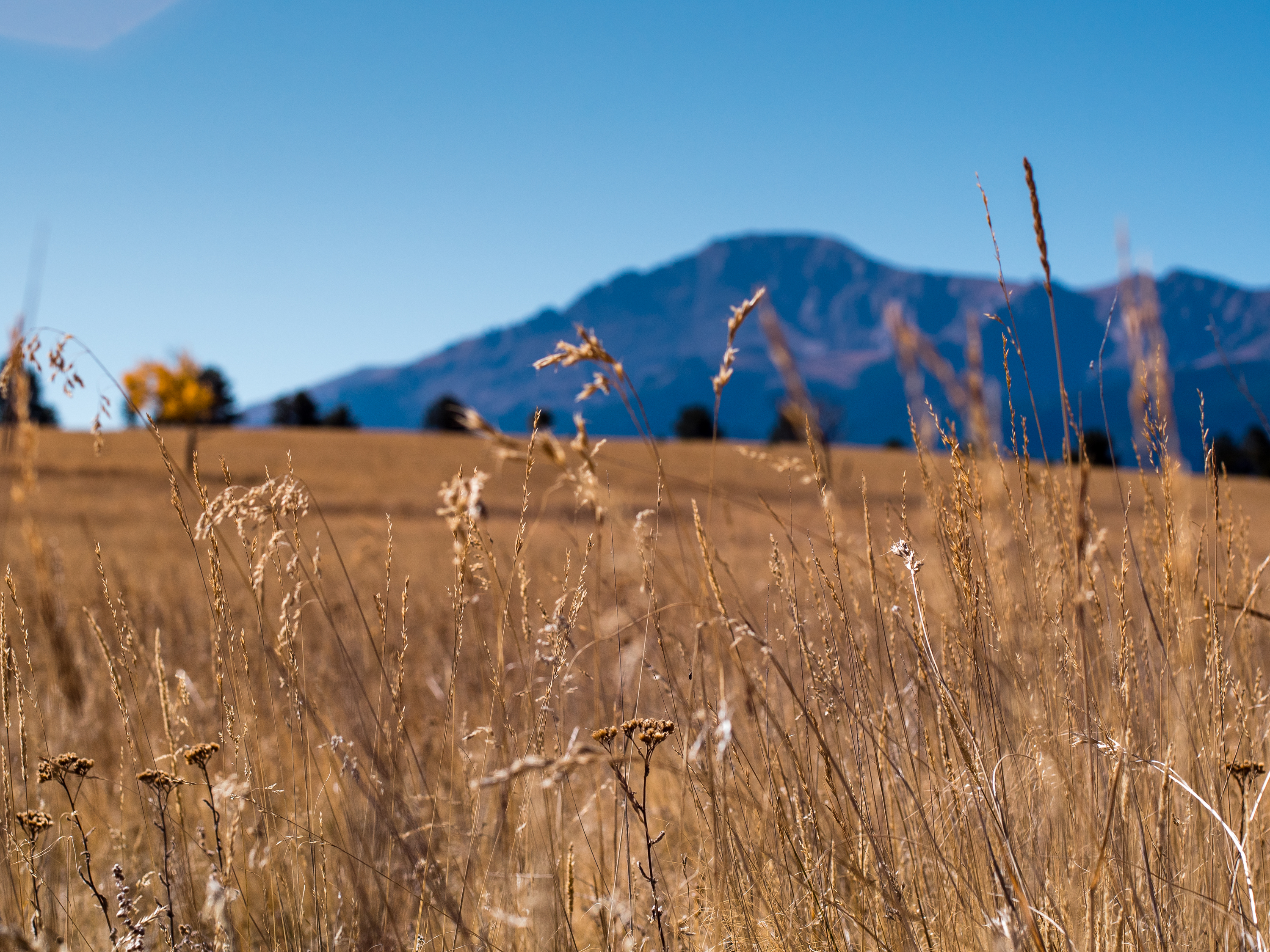 Photograph Rampart Range Road