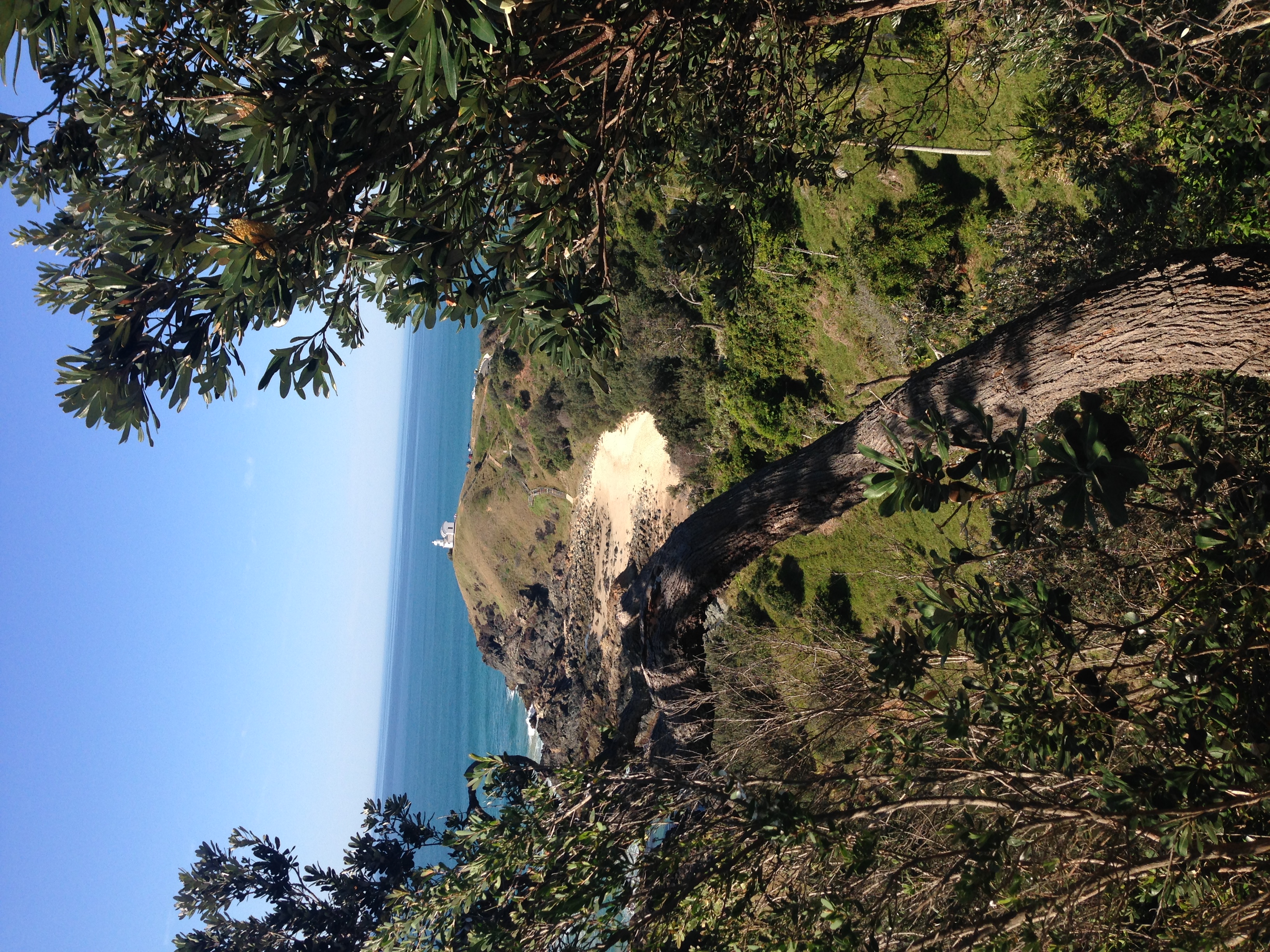 Hike Port Macquarie's Rugged Coastline
