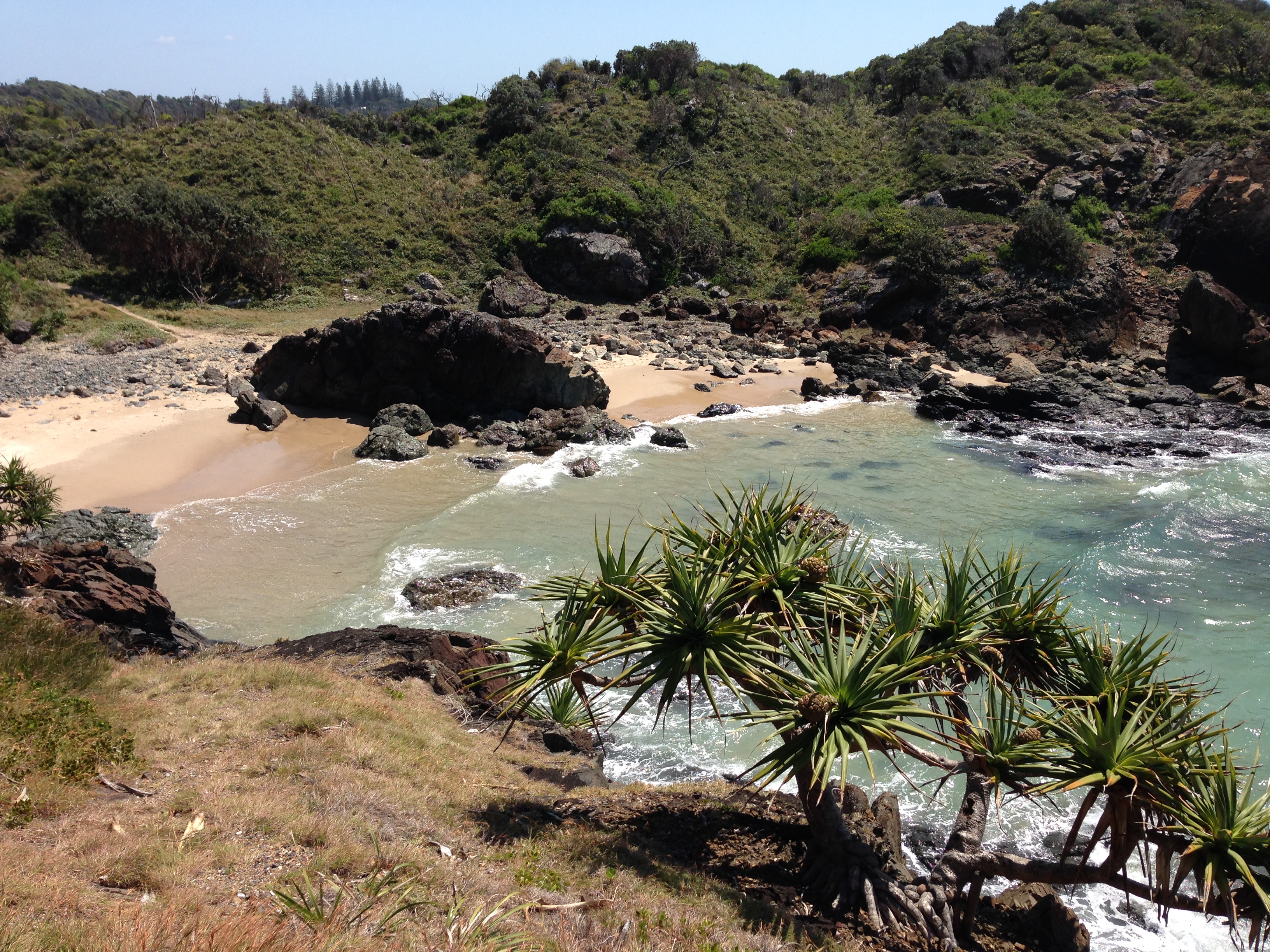 Hike Port Macquarie's Rugged Coastline