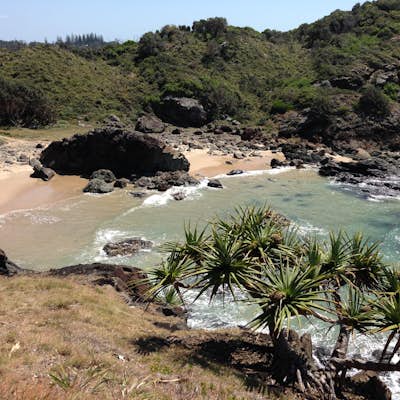 Hike Port Macquarie's Rugged Coastline