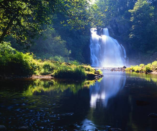 Youngs River Falls