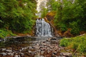 Youngs River Falls