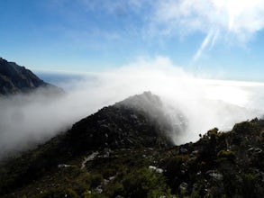 Hike up Devil's Peak