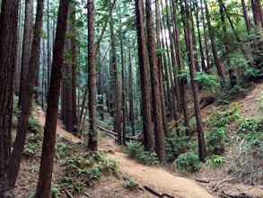 East & West Ridge Loop