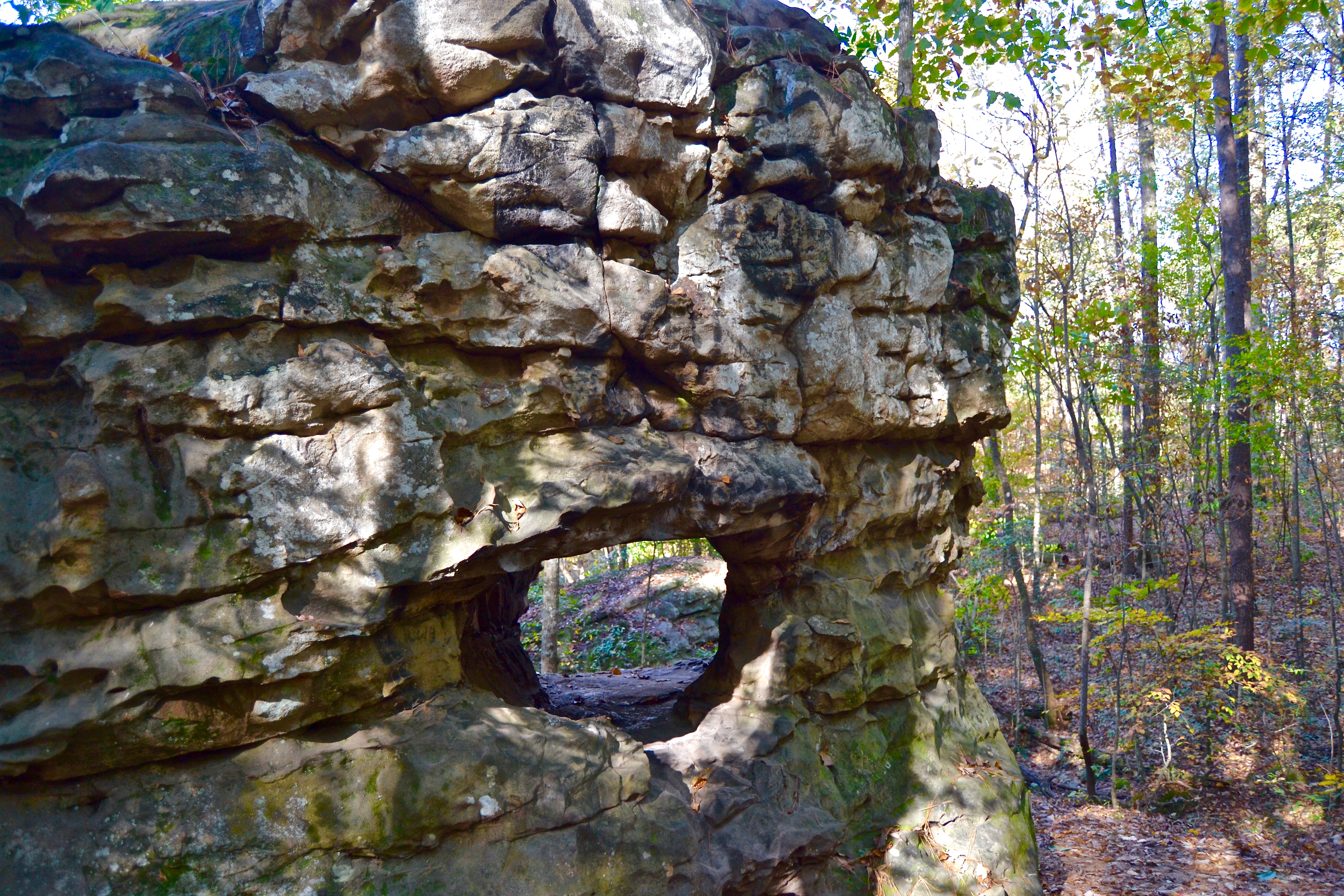 Photo of Explore Moss Rock Preserve