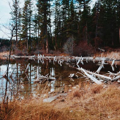 Hike around McConnell Lake, B.C.