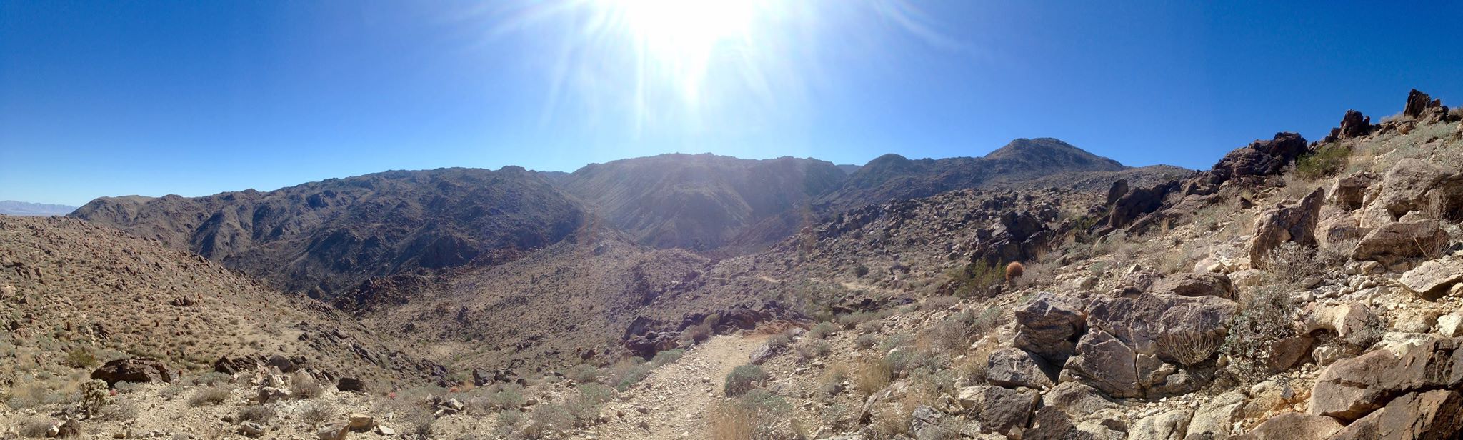 Fortynine Palms Oasis Trail