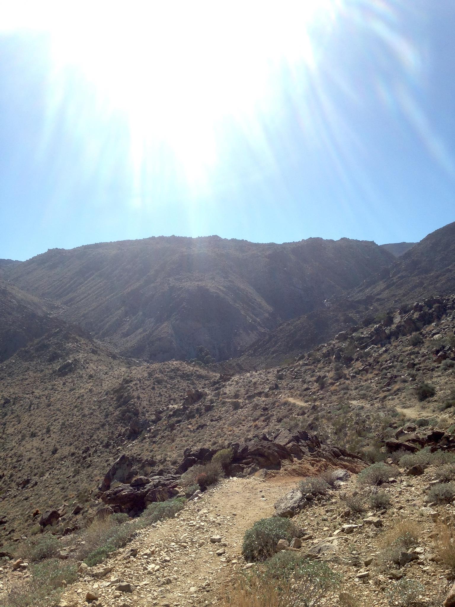 Fortynine Palms Oasis Trail