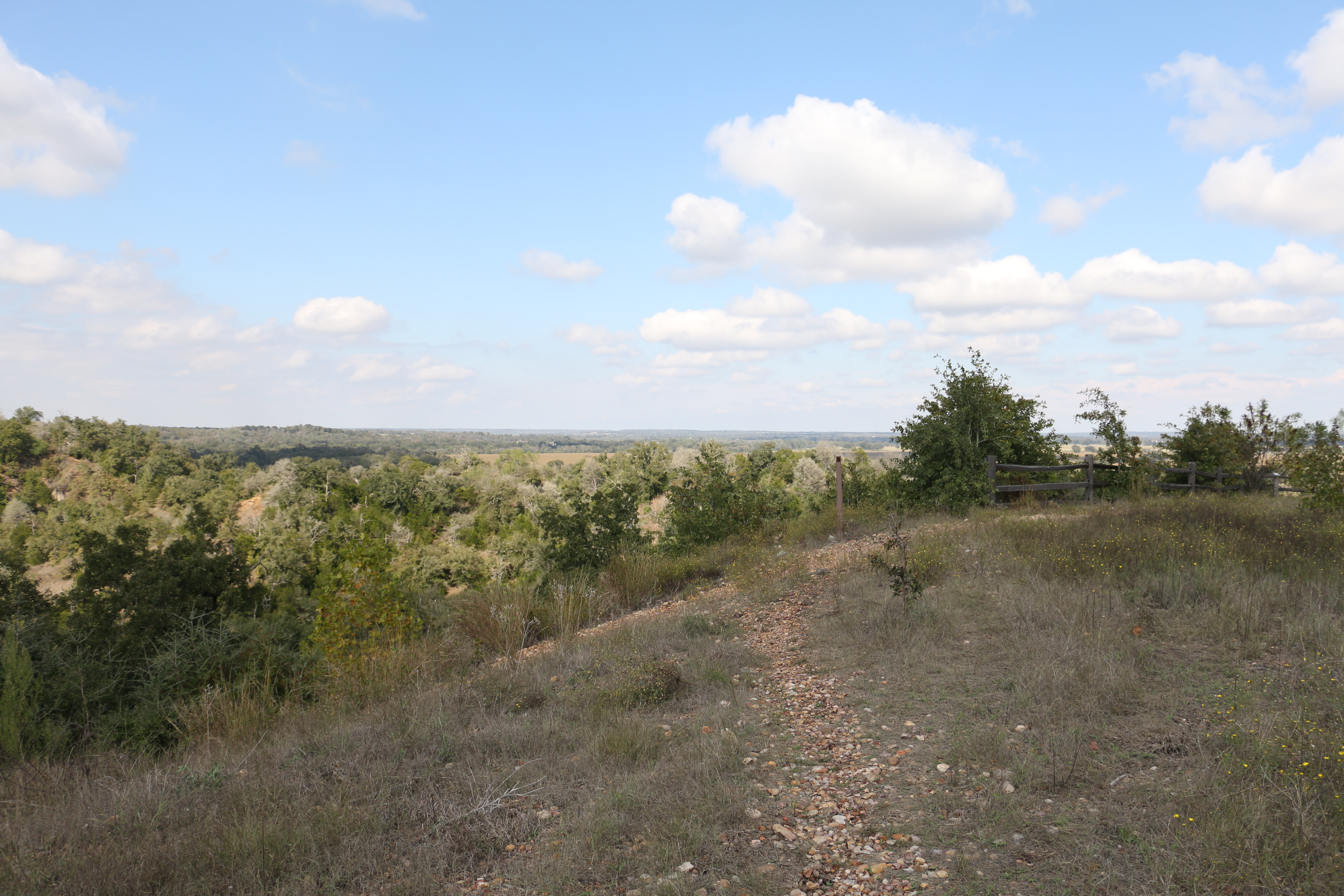 Pine Ridge Overlook