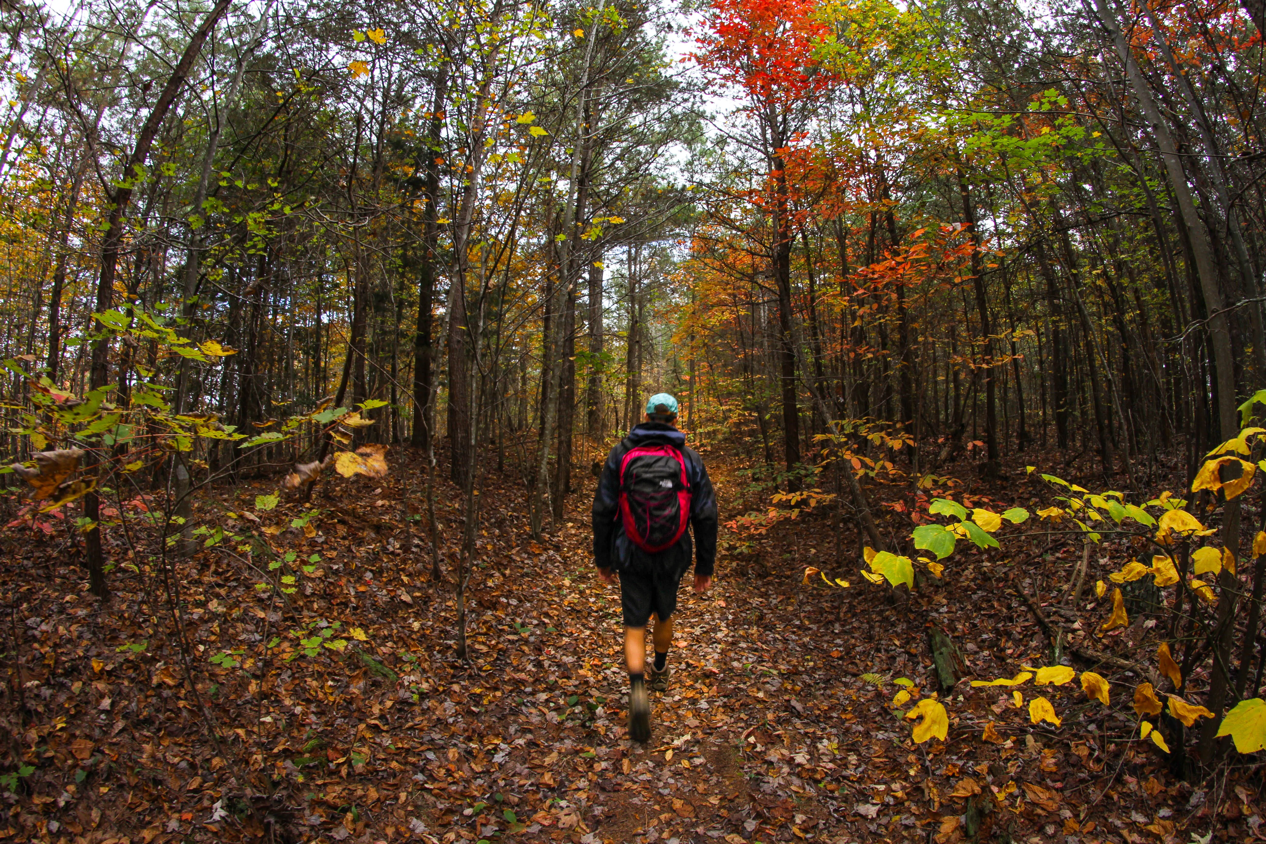 Lula Lake Land Trust