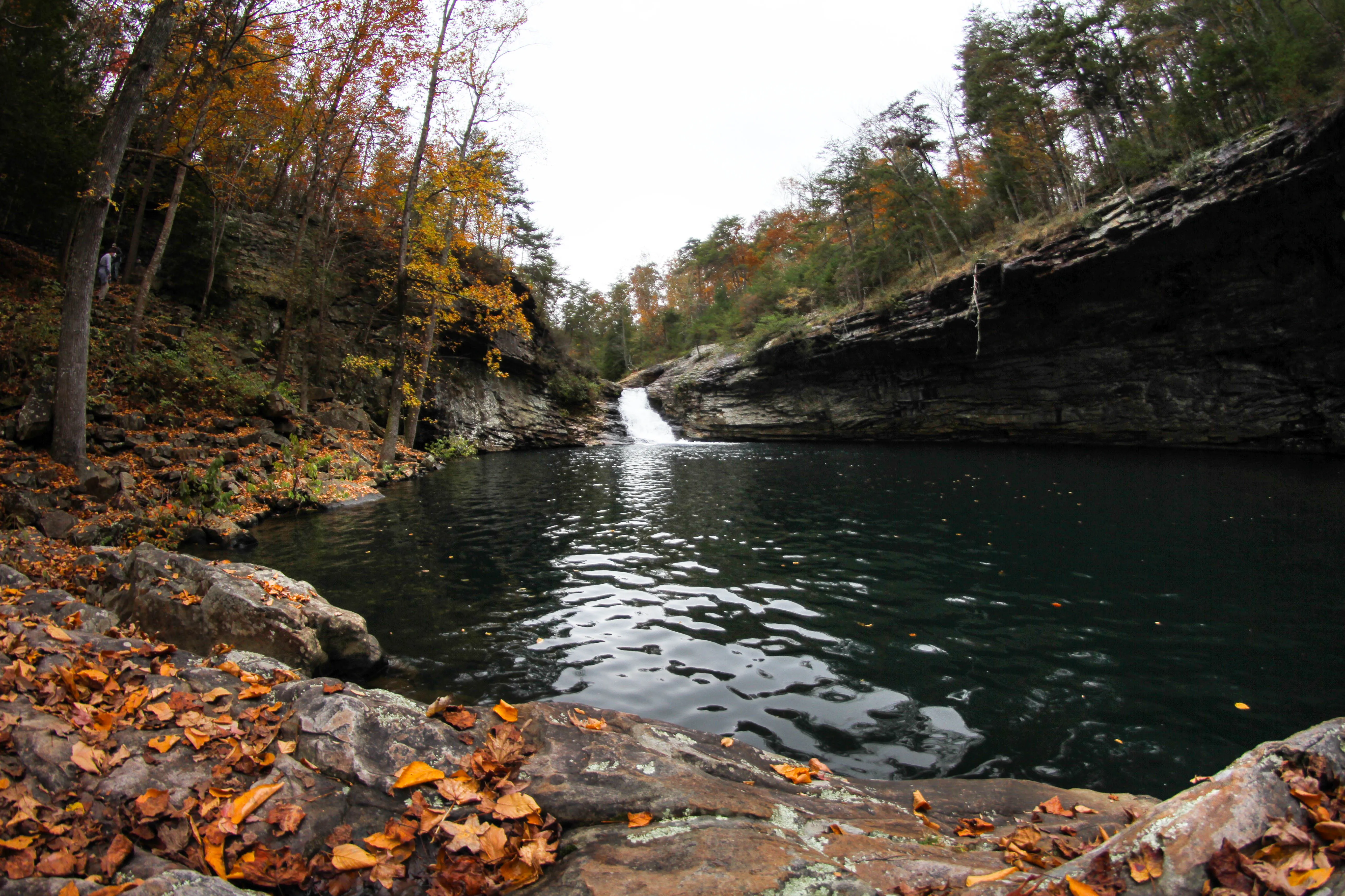 Lula Lake Land Trust